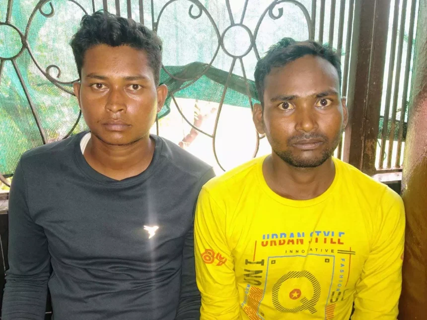 4614090 Untitled 1 Copy.webp.webp