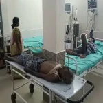 4618024 Untitled 14 Copy.webp.webp