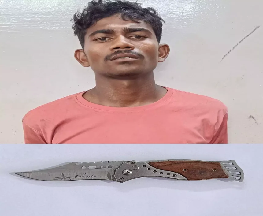 4619698 Untitled 16 Copy.webp.webp