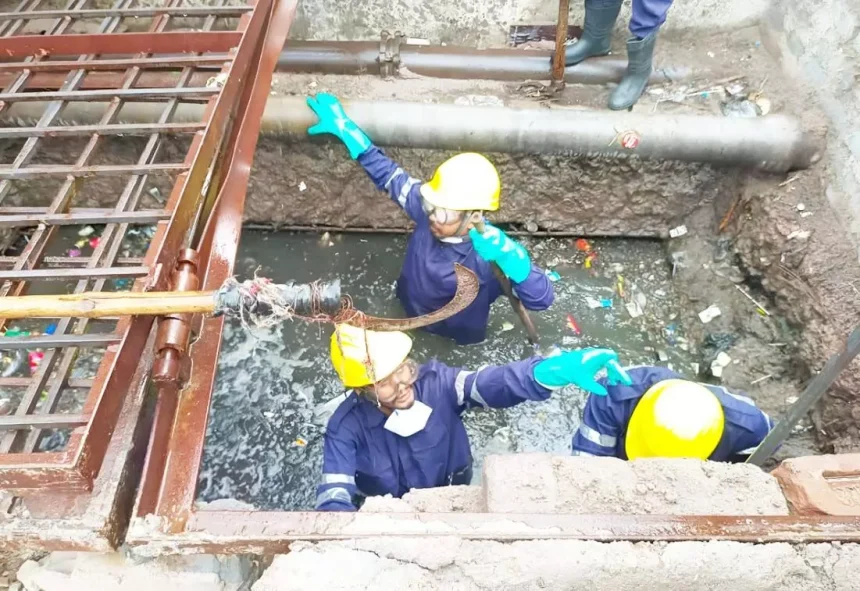 4622371 Untitled 24 Copy.webp.webp