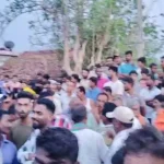 4624885 Untitled 40 Copy.webp.webp