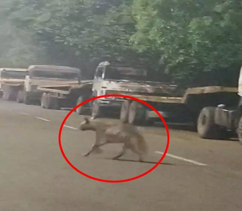 4628776 Untitled 21 Copy.webp.webp