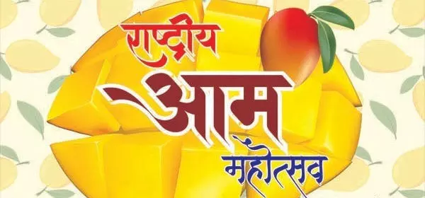 4630039 Untitled 7 Copy.webp.webp