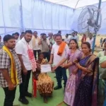 4634926 Untitled 58 Copy.webp.webp