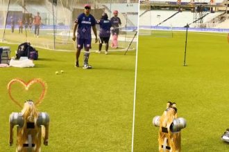 Ipl 2025 Robot Dog Performs Namaste Gesture For Rahul Dravid.jpg