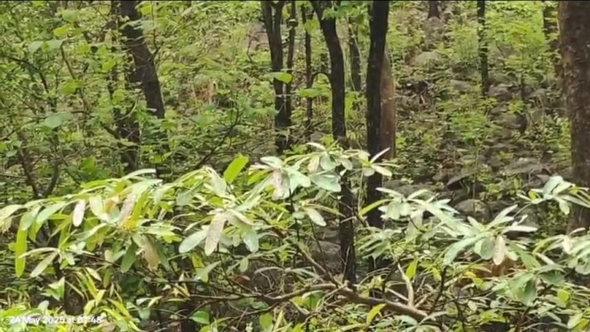 Screenshot 20250525 064808 Whatsapp