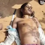 4647153 Untitled 39 Copy.webp.webp