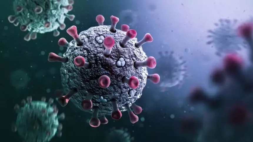 4653301 Untitled 35 Copy.webp.webp