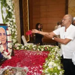 4655853 Untitled 29 Copy.webp.webp