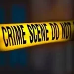 4656956 Untitled 24 Copy.webp.webp