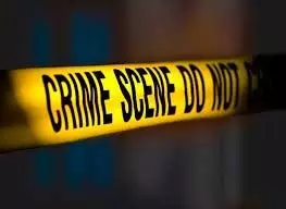 4656956 Untitled 24 Copy.webp.webp