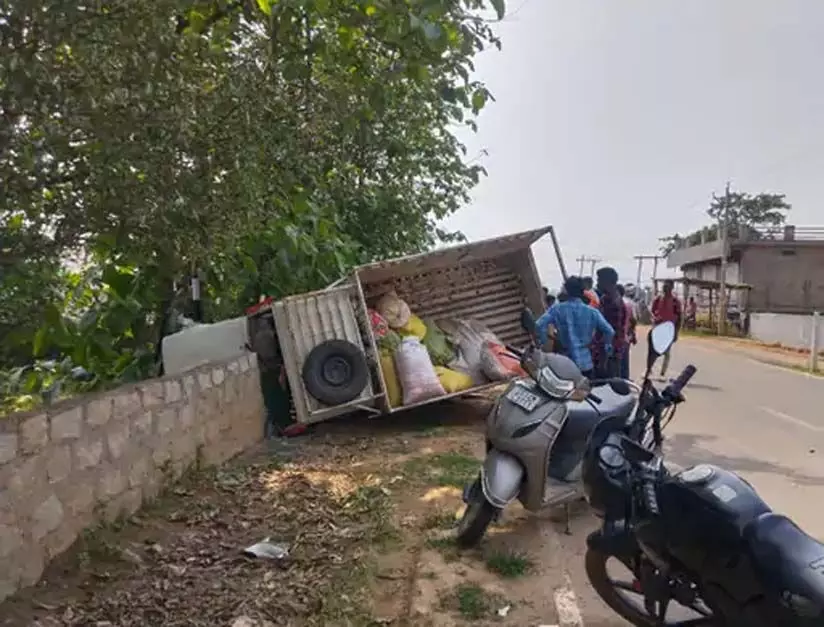 4658262 Untitled 16 Copy.webp.webp