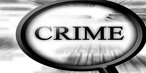 4659461 Untitled 49 Copy.webp.webp