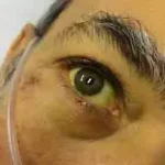 4662152 Untitled 56 Copy.webp.webp