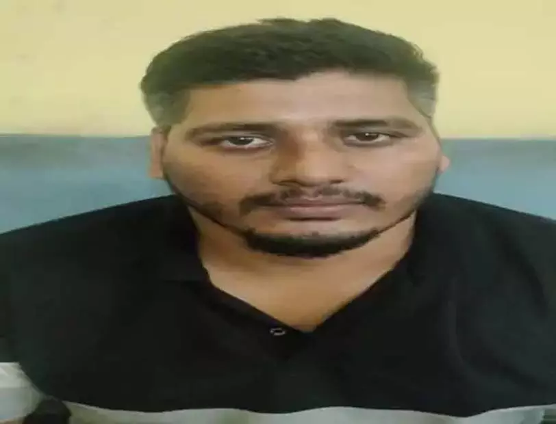 4663344 Untitled 8 Copy.webp.webp