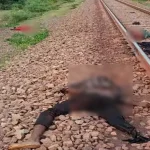 4665839 Untitled 28 Copy.webp.webp