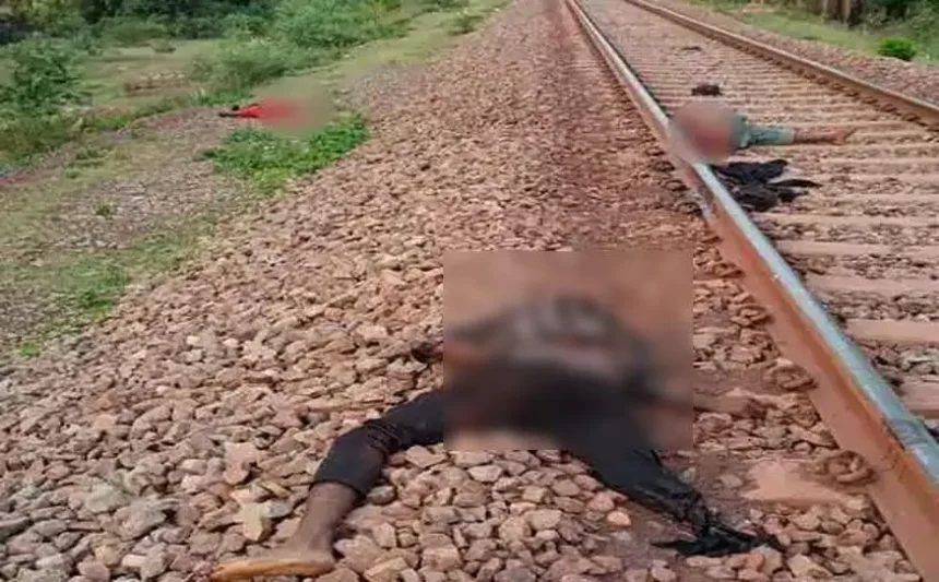 4665839 Untitled 28 Copy.webp.webp