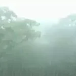 4673766 Untitled 5 Copy.webp.webp