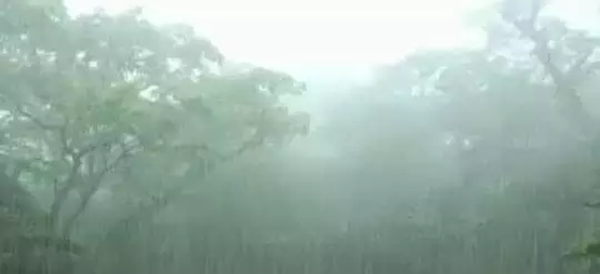 4673766 Untitled 5 Copy.webp.webp