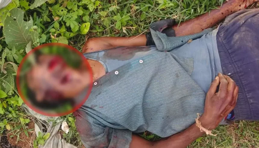 4683690 Untitled 10 Copy.webp.webp