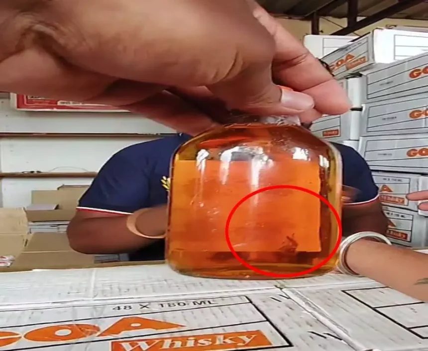 4694547 Untitled 8 Copy.webp.webp