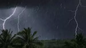 4694678 Bari23.webp.webp