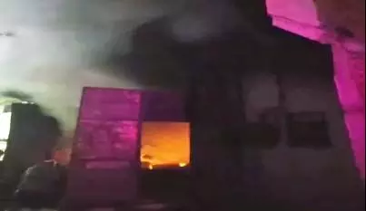 4699563 Untitled 6 Copy.webp.webp