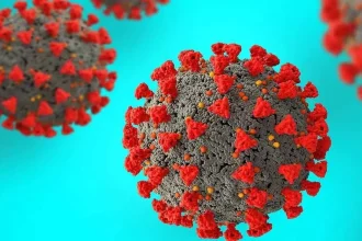 4701993 Untitled 62 Copy.webp.webp