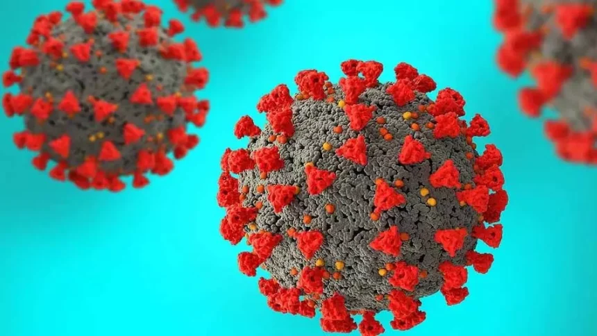 4701993 Untitled 62 Copy.webp.webp