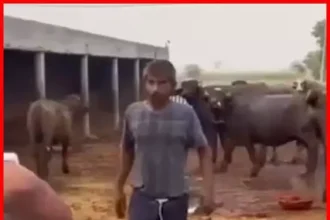 4702503 Untitled 70 Copy.webp.webp