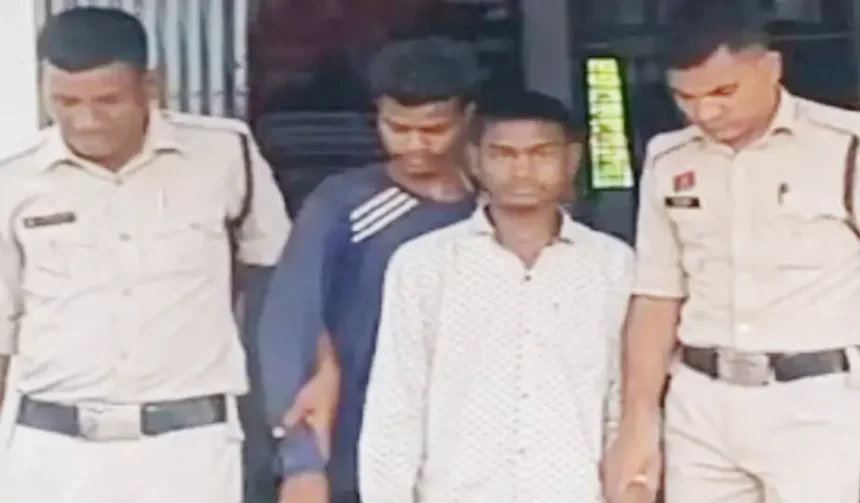 4703808 Untitled 31 Copy.webp.webp