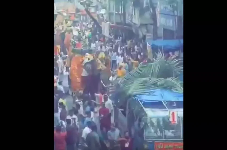 4705145 Untitled 72 Copy.webp.webp