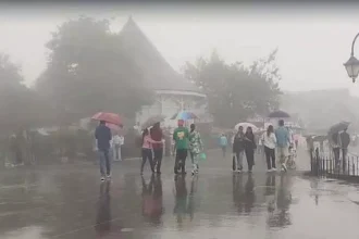 4706237 08.webp.webp