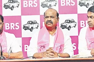 4709306 1 Copy.webp.webp