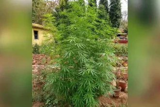 4709397 1 Copy.webp.webp