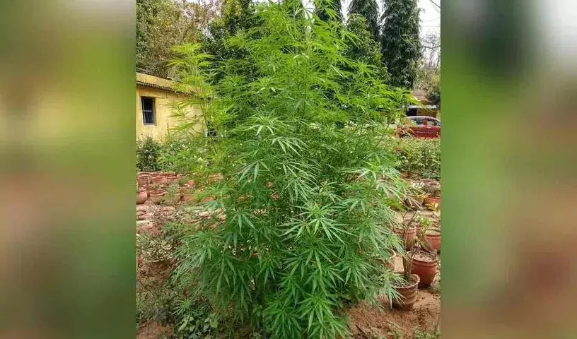 4709397 1 Copy.webp.webp