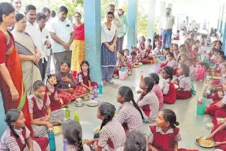 4711766 1 Copy.webp.webp