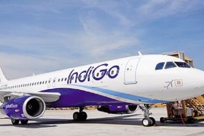 Indigo 1.jpg