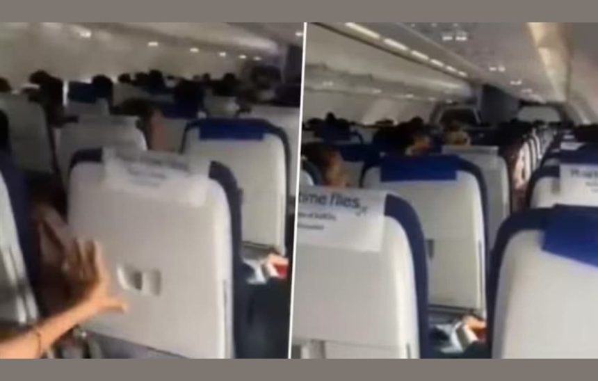 Photo 2025 06 01t232121.561.jpg