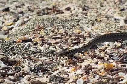 Screenshot 20250610 123524 Youtube