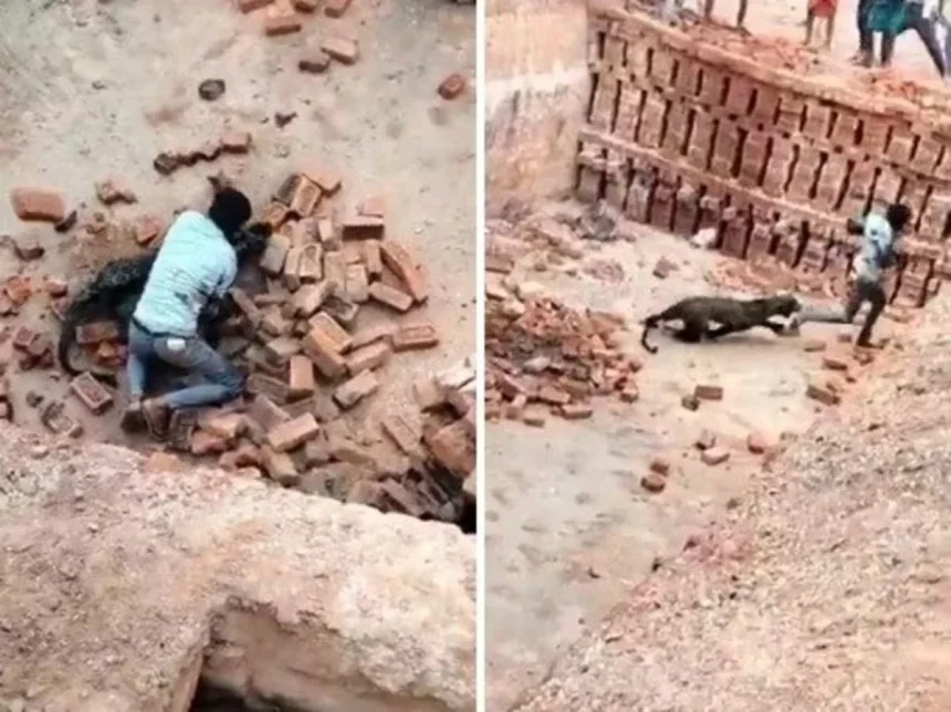 News Image 175077496224 06 2025 19 52 42.webp.webp