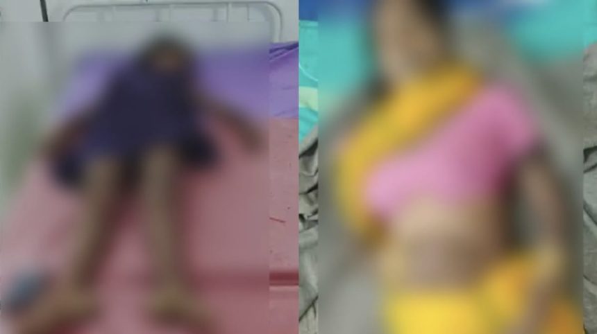 1fb591cb Bc17 447c 864b 1f557a3848b5.jpeg