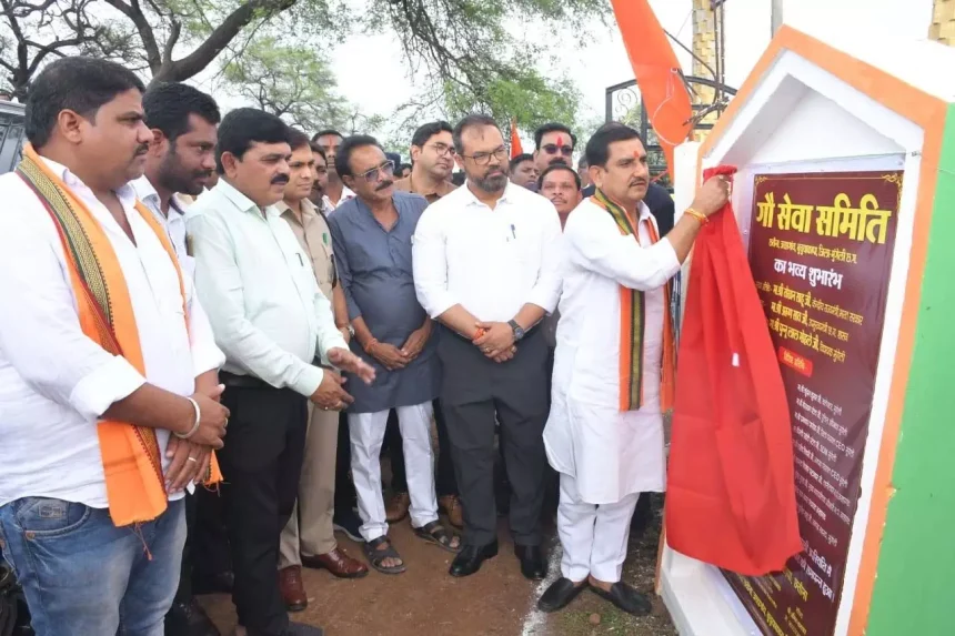 4714580 Untitled 52 Copy.webp.webp