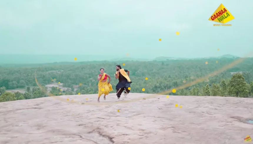 4715687 Untitled 31 Copy.webp.webp