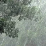 4716755 1 Copy.webp.webp