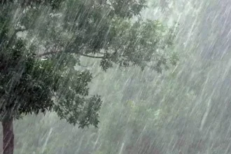 4716755 1 Copy.webp.webp