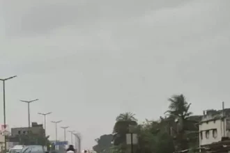 4716926 Untitled 9 Copy.webp.webp