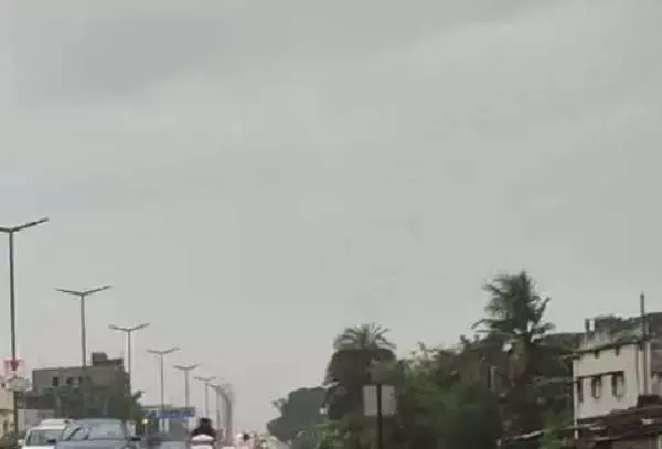 4716926 Untitled 9 Copy.webp.webp