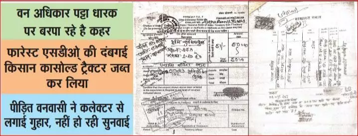 4717391 Untitled 27 Copy.webp.webp