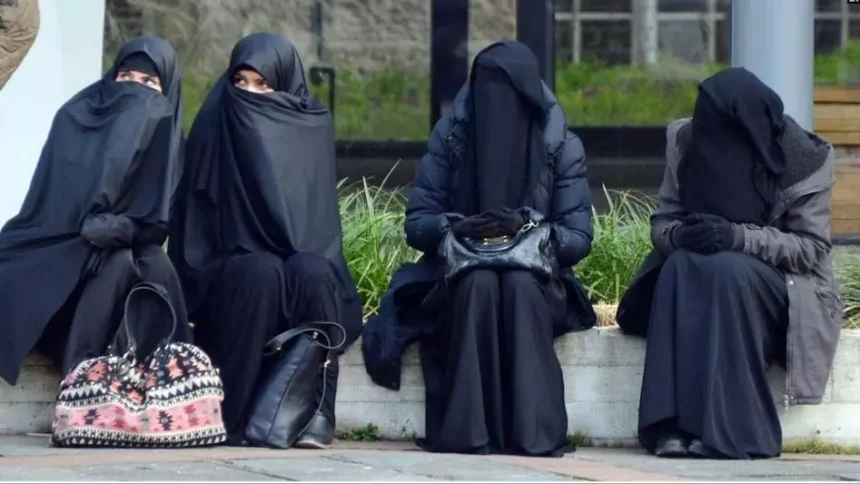 4721743 Untitled 22 Copy.webp.webp